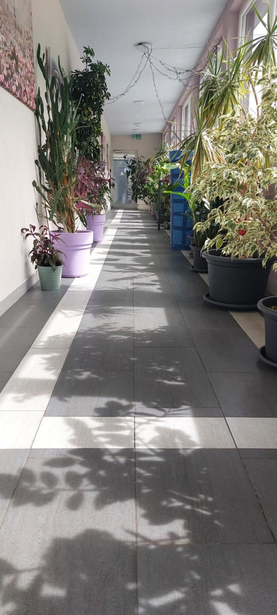 Hotel Belp Bern Airport Free Parking ภายนอก รูปภาพ